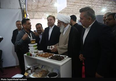  صنایع فرآوری محصول خرما در استان بوشهر توسعه داده شود - تسنیم