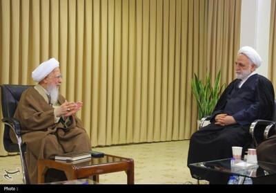  نظام اسلامی باید مشکلات خود را با دقت، صداقت و نگاه درونی ببیند - تسنیم