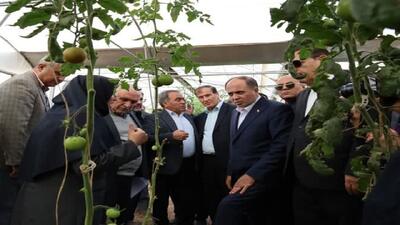  تاکید وزیر جهادکشاورزی بر توسعه کشت گلخانه‌ای