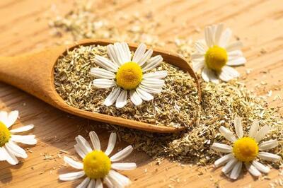  مزاج بابونه چیست؟