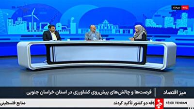  محدودیت منابع مالی، عامل کندی اجرای طرح‌های توسعه کشاورزی در خراسان جنوبی