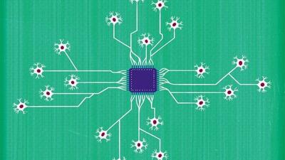  از رایانه‌هایی که با سلول‌های مغز انسان کار می‌کنند، چه می‌دانید؟