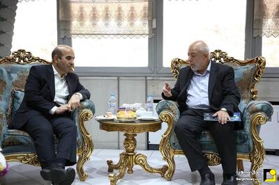  دستکاری قیمت حامل‌های انرژی تهدیدی جدی برای نهضت توسعه تجدیدپذیرهاست