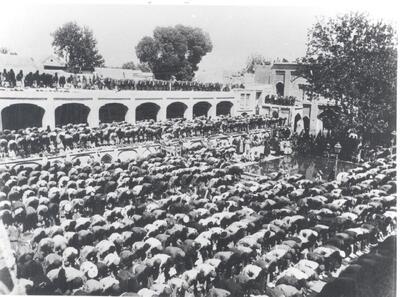  عکس/ نماز جماعت مسجد جامع تهران ۱۳۵ سال پیش در دوران قاجار | اقتصاد24