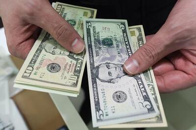  پیش‌بینی قیمت دلار برای هفته آینده/ درصد تغییر قیمتی ارز مشخص شد