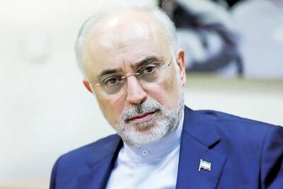  صالحی: رویکرد فعلی سیاست خارجی، خطر انزوای استراتژیک ایران را در پی دارد