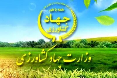  تشدید نظارت در بازارگاه / حساب متخلفان مسدود و پرونده‌ها به تعزیرات می‌رود