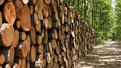  کشف ۱۰ تن چوب جنگلی دپو شده درعلی آبادکتول