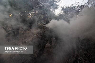  آتش‌سوزی جنگل دیزمار آذربایجان شرقی مهار شد