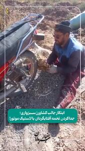 ایده جالب کشاورز سبزواری در جداکردن تخمه آفتابگردان