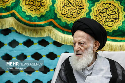  رئیس قوه قضاییه با آیت‌الله شبیری زنجانی دیدار کرد