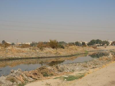  آمدند‌، زیستگاه پرندگان را ویران کردند و رفتند