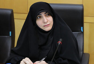  آقای وزیر تاپیکو را به گل نشاندید/ مدیرعامل جدید، آسانسوری پست گرفته