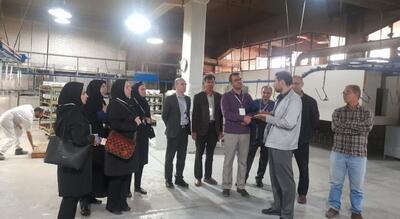  راهیان پیشرفت زنجان به کاچیران رسید