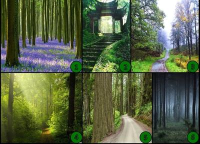  یک تصویر را انتخاب کنید تا شخصیتتان را به شما بگوییم!