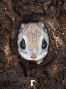  عکس | دلفریب‌ترین موجود دنیا!