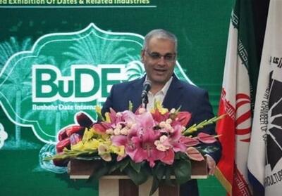  معاون وزیر تعاون: بوشهر پایلوت تحول ساختاری نخیلات کشور تعیین می‌شود - تسنیم