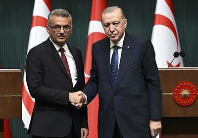  چرا اردوغان، استقلال قبرس شمالی را آرمان ملی می‌داند؟ - تسنیم