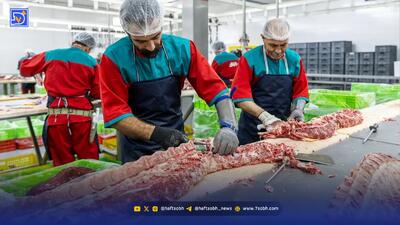  بازار ملتهب پروتئین | سایه سنگین مافیای نهاده‌ها بر سفره مردم