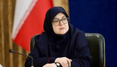  مهاجرانی: تقویت توان موشکی، حق طبیعی ایران است
