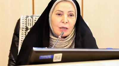  عضو شورای شهر: استفاده درست از ظرفیت بافت تاریخی یزد می‌تواند الگوی ملی باشد