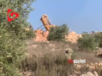  وقتی اشغالگران درخت را دشمن می‌بینند
