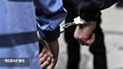  دستگیری سارق با ۲۰ فقره سرقت در بجنورد
