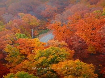  اینجا ییلاق دِرازنو در پاییز رنگارنگ