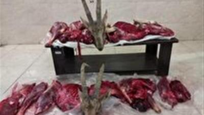  دستگیری شکارچیان متخلف در میامی