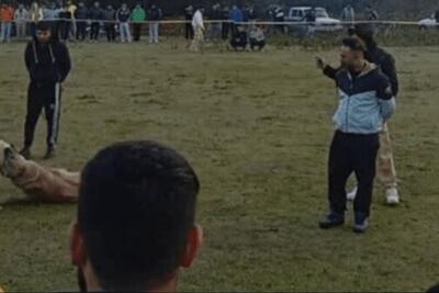  دستگیری 4 متهم حیوان‌آزار بعد از انتشار کلیپ جنجالی