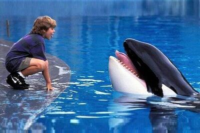  «برادران داسلر» و «نهنگ آزاد» به شبکه نمایش می‌آیند