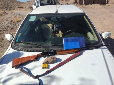  دستگیری یک نفر متخلف شکار و صید در شهرستان خوسف