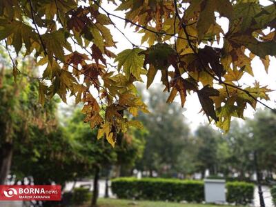  استقرار سامانه کم و بیش ناپایدار در آسمان گیلان