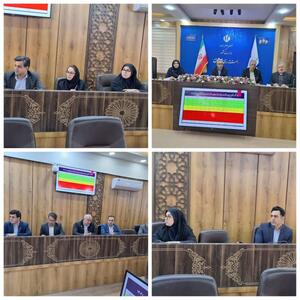  دلفان پایلوت اشتغال بانوان معرفی شود