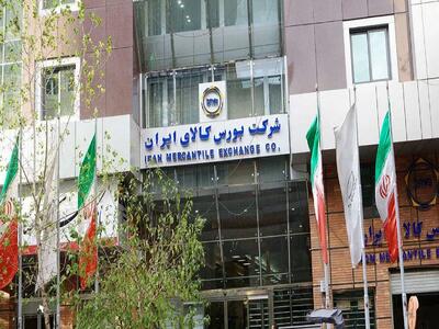  بورس کالا میزبان عرضه ۶۰۰ هزار تن محصول