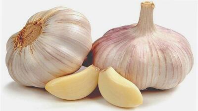  روش طبیعی برای نگهداری از سیر بدون پوک شدن / تا ۱ سال سیر تازه میماند