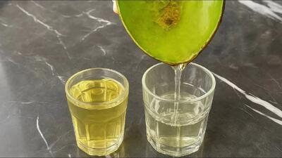  نمی دانستم استخراج روغن آووکادو اینقدر آسان است !
