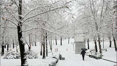  بارش برف مرز پیرانشهر را کاملا سفیدپوش کرد+ فیلم