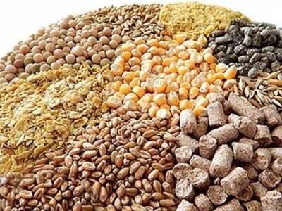  علت کمبود نهاده‌های دامی کدام است؟ مافیا یا سوء‌مدیریت
