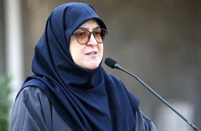  سخنگوی دولت: جمهوری اسلامی از سوی میانجیگران پیام‌هایی دریافت کرده است