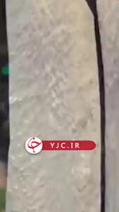  ماجرای چاقوکشی در اتوبوس/ راننده متخلف اخراج شد