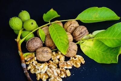  ۶ غذای کلیدی برای جلوگیری از مه مغزی، از نگاه متخصصان تغذیه