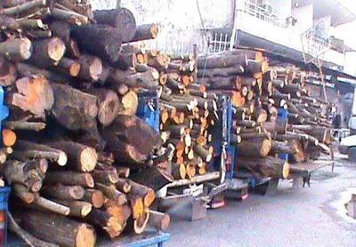  کشف ۲۳ تن چوب قاچاق از ۱۵ خودروی باری در صومعه سرا