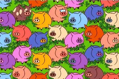  بازی فکری | اگه خلبان f41 هستی بین خوک های رنگارنگ شبدر 4 برگ رو پیدا کن