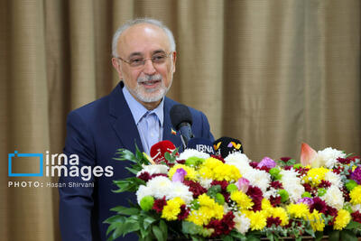  سخنان صالحی در اجلاس بین‌المللی ایران شناسی