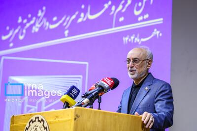  صالحی: دیپلماسی راه گفت وگو را هموار می کند