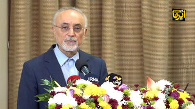  صالحی: دیپلماسی راه گفت‌وگو را هموار می کند