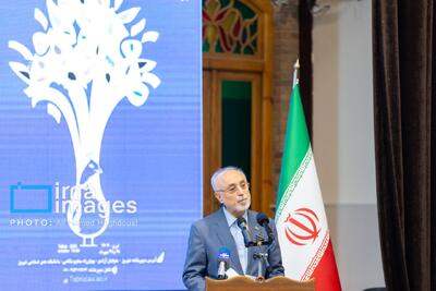  صالحی: صدای ایران را با تکیه بر تجربه‌ تاریخی و فرهنگی بازگو کنیم
