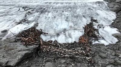  کشفی منحصربفرد با آب شدن یخ