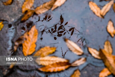  گیلان طی ۴۸ ساعت آینده ابری و بارانی است